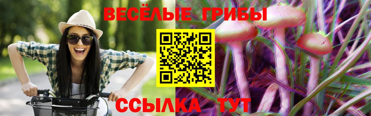 Галлюциногенные грибы Cubensis  Вход с VPN  Миасс 